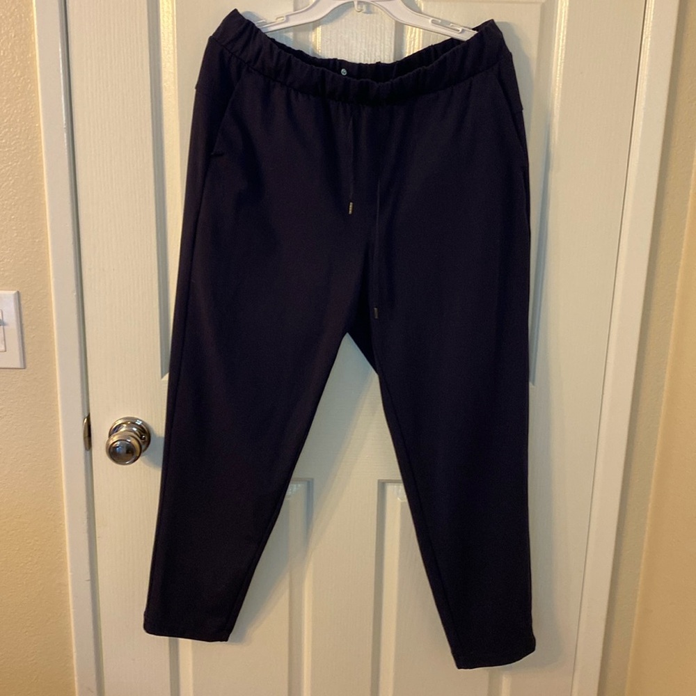 Talbots navy blue jogger pants. Size Large.